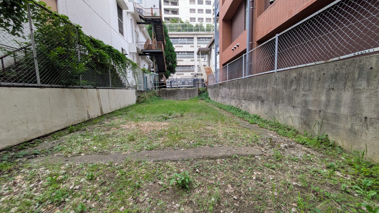 米沢嘉博記念図書館横の空き地